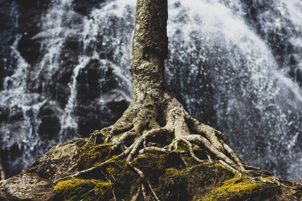 How to Become an Unbreakable Brand in the Dynamic eCommerce World