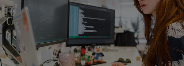 Scrum Master